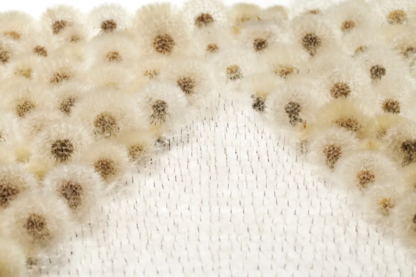 這種藝術雖然沒拿起畫筆,但更有意義 這種藝術雖然沒拿起畫筆,但更有意義