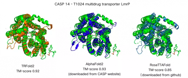 效果媲美AlphaFold2,國產蛋白結構預測平臺TRFold排名全球第二 效果媲美AlphaFold2,國產蛋白結構預測平臺TRFold排名全球第二