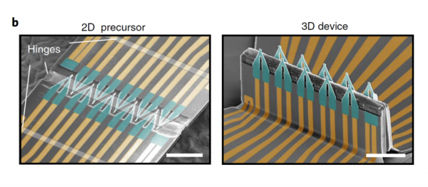 華人科學家開發的柔性電子感測器陣列，可監測心肌細胞異常，方便醫生診斷