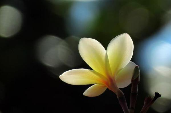 人品極差的人，在微信上，有4個明顯的特徵