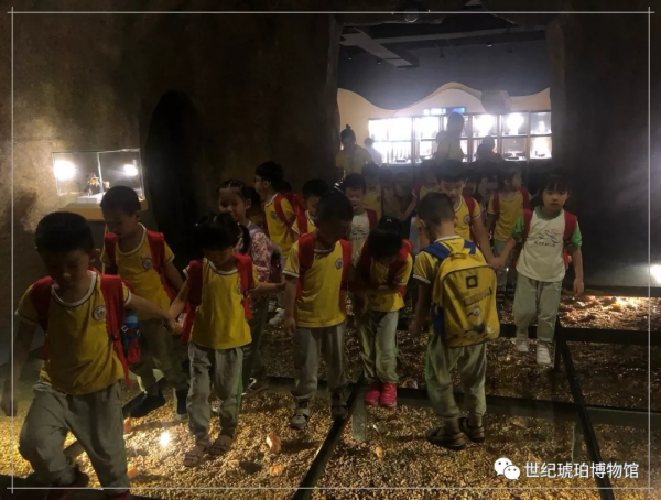 探秘琥珀世界 從幼兒開始 探秘琥珀世界 從幼兒開始