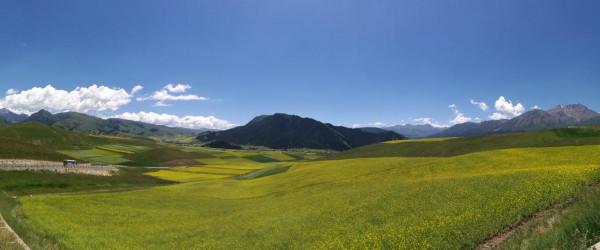 青海湖，祁連山，扎尕那，一車老兩口，西北自駕遊。之五：祁連2