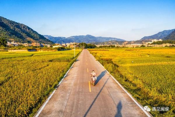 金秋稻花香,福州這幅豐收圖美極了!「區縣頭條」 金秋稻花香,福州這幅豐收圖美極了!「區縣頭條」