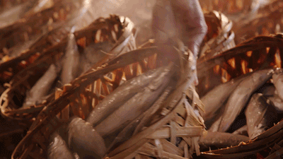 為什麼越來越多人喜歡潮汕？