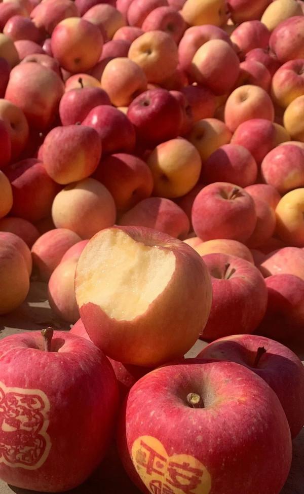 來下馬嶺，送給Ta秋天第一個蘋果