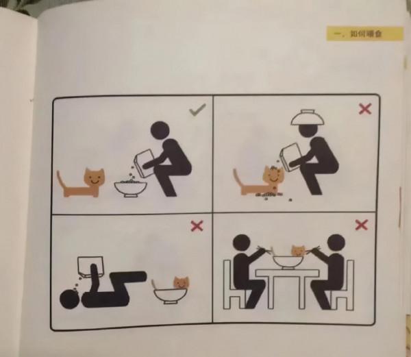 原來這才是養貓的正確方式！我一直都搞錯了