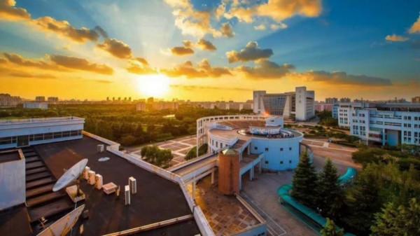 聚焦中國生育率問題！上海大學最新研究成果，引發國際關注！