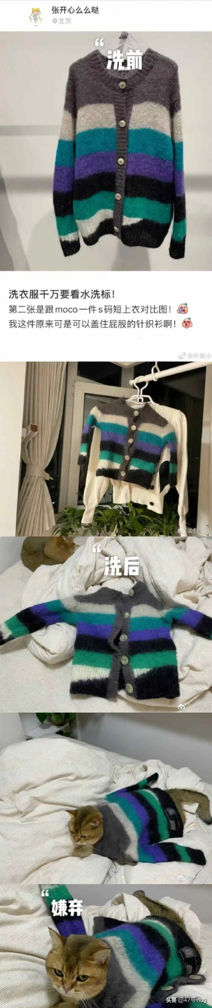 這應該是黃曉明最想刪的一張照片，沒有之一