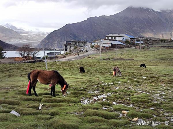 站在村口，見冰川自天邊來，兩湖水一白如牛奶，一綠如翡翠