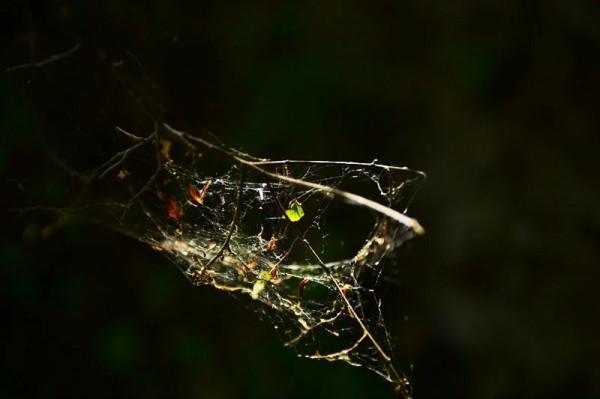 「玉渡山遊記」——溯溪兼聽水,信步玉渡山 「玉渡山遊記」——溯溪兼聽水,信步玉渡山