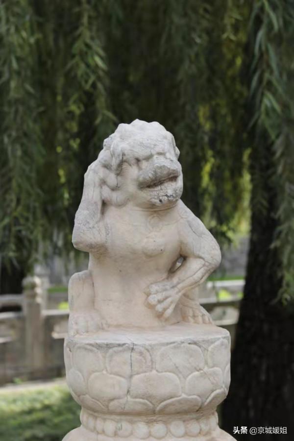 故宮裡的動物大盤點,您都知道他們的來歷嗎? 故宮裡的動物大盤點,您都知道他們的來歷嗎?