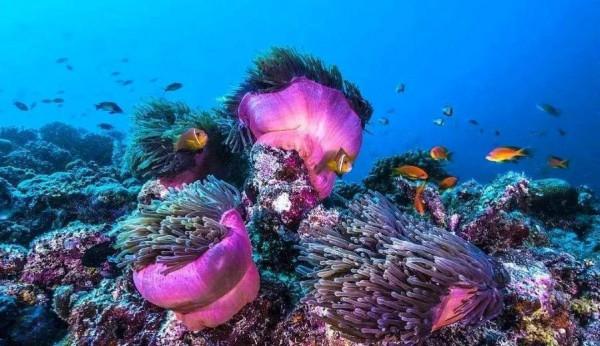 我的船上生活之009 郵輪碼頭篇之Nassau, Bahamas