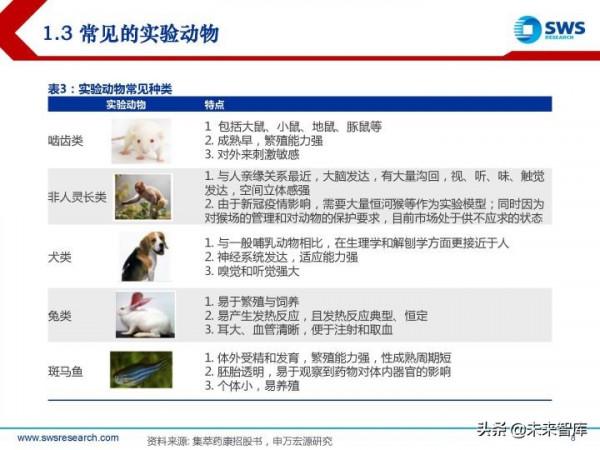 模式動物行業研究報告：創新需求開啟&OpenCurlyDoubleQuote;活試劑&rdquo;的廣闊天地