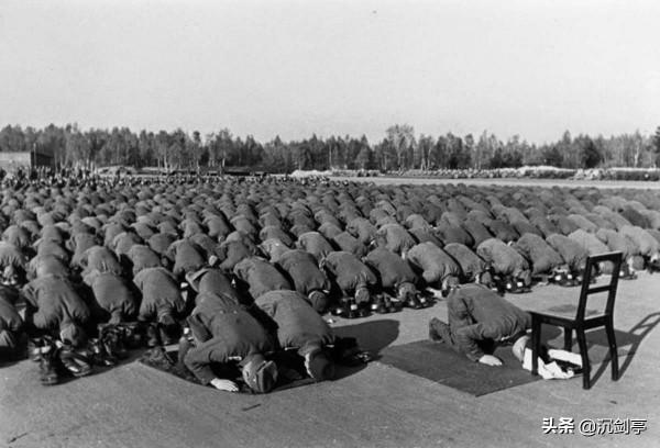 二戰系列 德國的偽軍&mdash;&mdash;武裝黨衛隊第13師的穆斯林軍隊