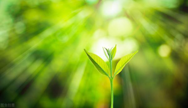 袁隆平：當代英雄，世代功臣，千秋功績