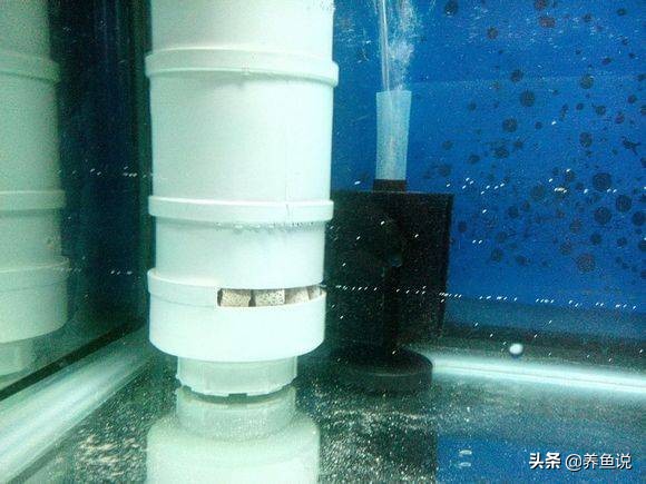 魚缸過濾水泵吸魚的悲劇,遇到過嗎?為什麼會吸魚且如何避免呢? 魚缸過濾水泵吸魚的悲劇,遇到過嗎?為什麼會吸魚且如何避免呢?