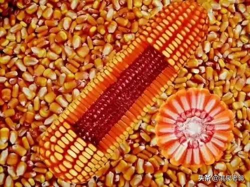 告訴你幾個促進作物質優產量高的‘‘施用劑’’及配方