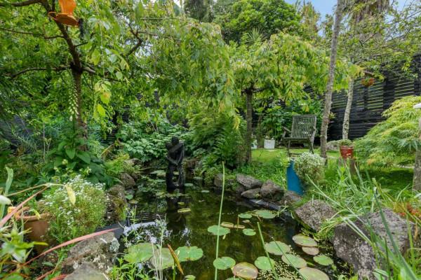 迷人的紐西蘭的戶外空間 迷人的紐西蘭的戶外空間