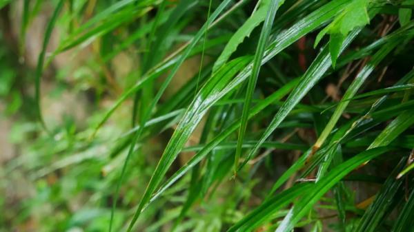 冬天進補，我們到底要補什麼？