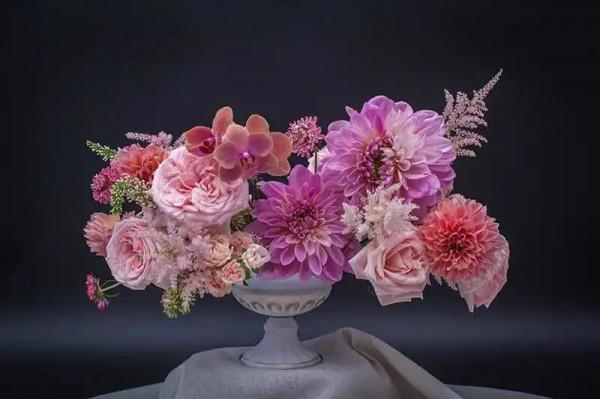 植庫‖豐富多彩的大麗花竟被冠為慘案之名？