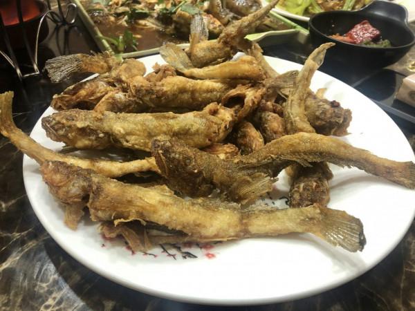 今年的楞巴魚咬口季，我還是溜達釣，這一箱子魚獲真過癮