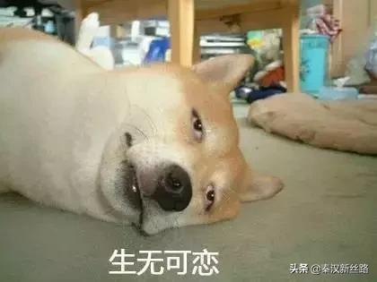 秦漢印記 &vert; 穿越到漢朝吃啥？開心時擼串，不開心時吃糠