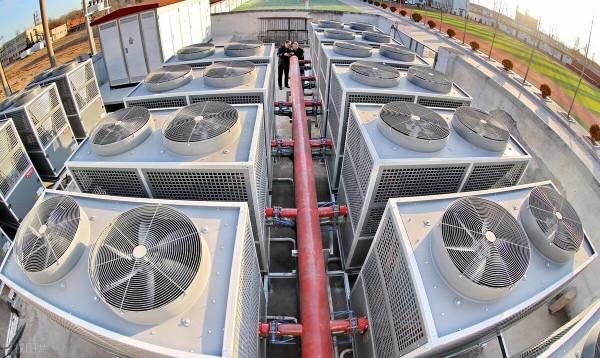 9層豪華“酒店”居住8000頭母豬，上下電梯不掃圈不喂料，長啥樣