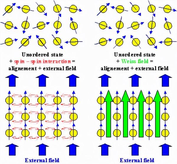 人進入強磁場中會發生什麼?科學家用青蛙做實驗,得到了反重力蛙 人進入強磁場中會發生什麼?科學家用青蛙做實驗,得到了反重力蛙
