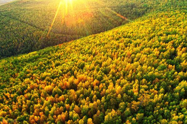 美麗的秋山 美麗的秋山