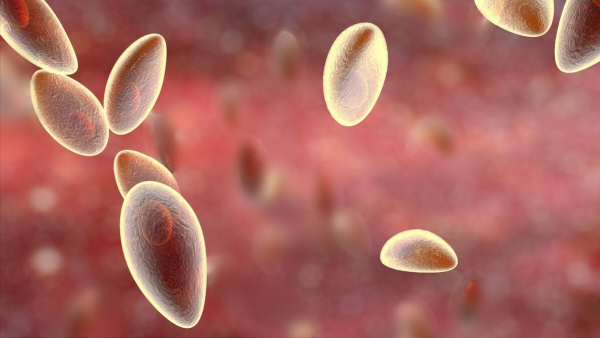 由費米悖論引發的思考，宇宙中真的存在大量的外星文明嗎？