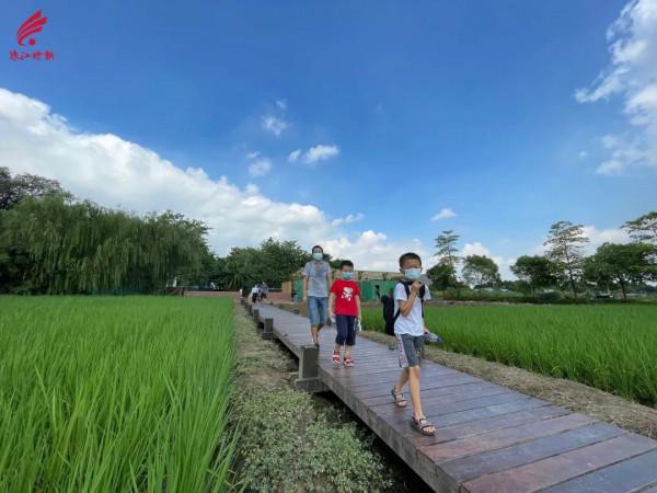 居住在裡水幸福感蹭蹭往上漲!企業職工感受鄉村蝶變 居住在裡水幸福感蹭蹭往上漲!企業職工感受鄉村蝶變