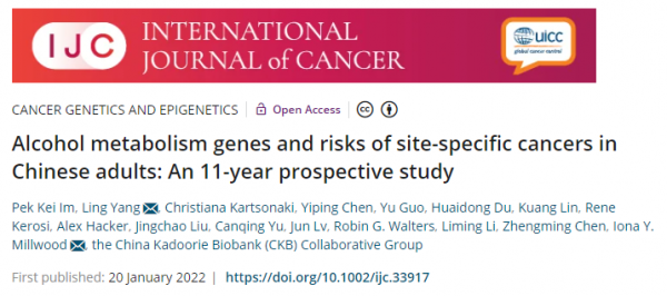 防癌先戒酒！大規模中國人研究發現，即使少喝，患癌風險也大增