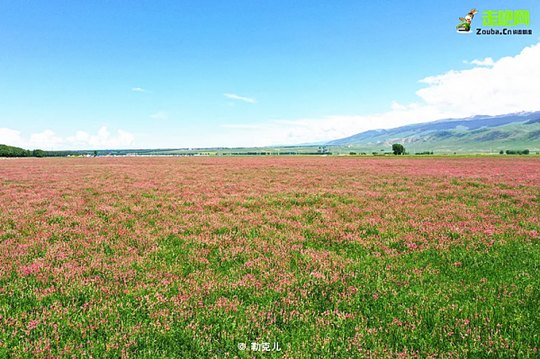 1028名日本人報名遊新疆？新疆顏值實錘了，一年四季，美麗不停歇