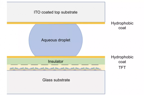 商業化在即，初創開發桌面「印表機」，僅1天就能合成特定蛋白質
