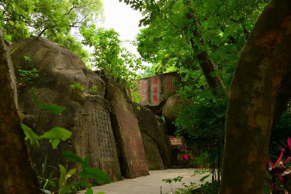 浙江又一景區走紅,幾百年的母子樟樹,距衢州市只有30公里 浙江又一景區走紅,幾百年的母子樟樹,距衢州市只有30公里