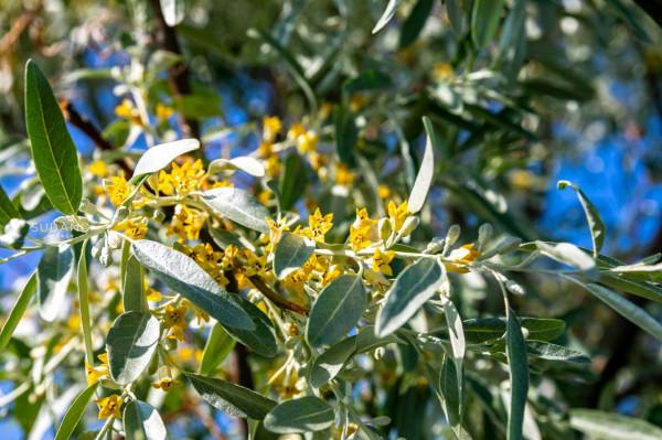 新疆的這座歷史古蹟，已有千年歷史，背後有一個壯美的愛情故事