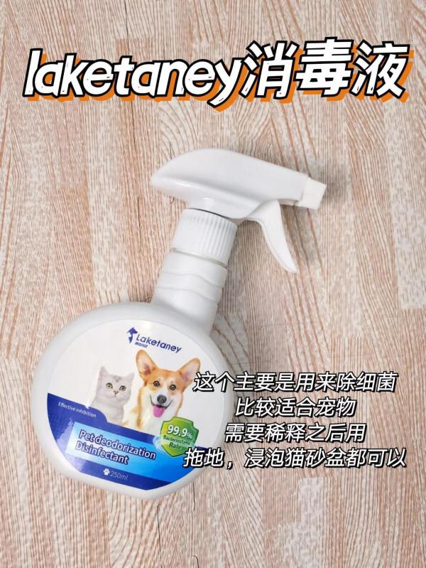 養貓人別交智商稅啦！尤其是這幾個