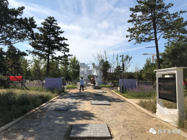 首次曝光！溫榆河公園昌平一期探秘，實在太美了