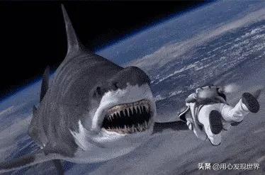 “山寨之王”“爛片之王”，拍電影從來沒有虧過的公司，為啥？