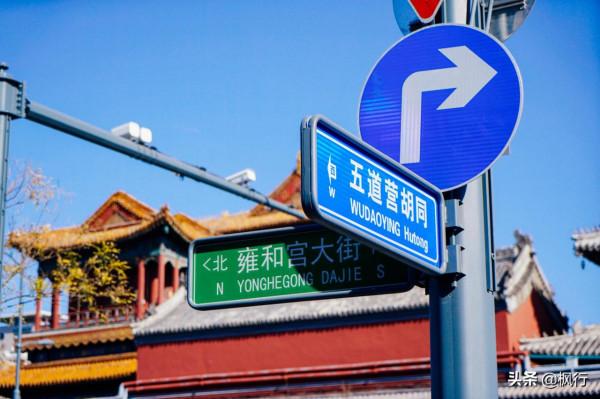 再有半個月，北京將迎來最美的季節，12個銀杏寶藏地，附機位攻略