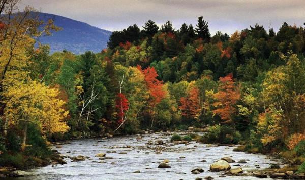 佛蒙特森林風光