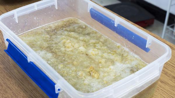 夏吃瓜秋吃果,8種“秋果”要多吃,滋陰潤肺,應季而食降秋燥 夏吃瓜秋吃果,8種“秋果”要多吃,滋陰潤肺,應季而食降秋燥