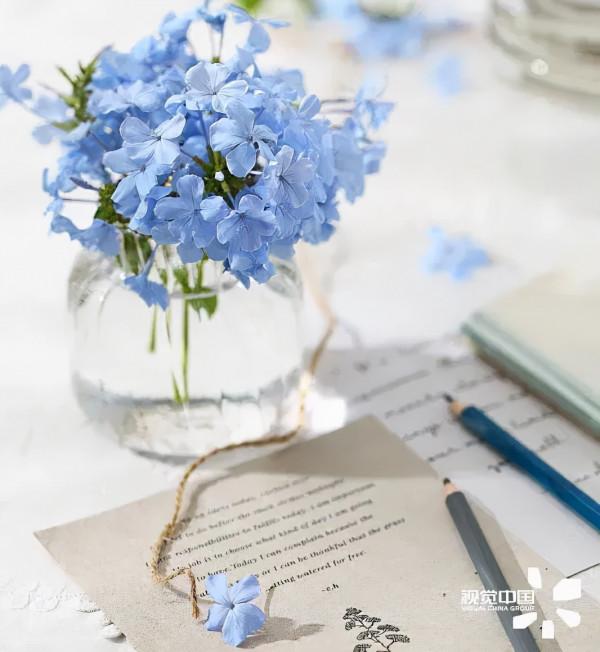 2021秋冬十大流行色來了