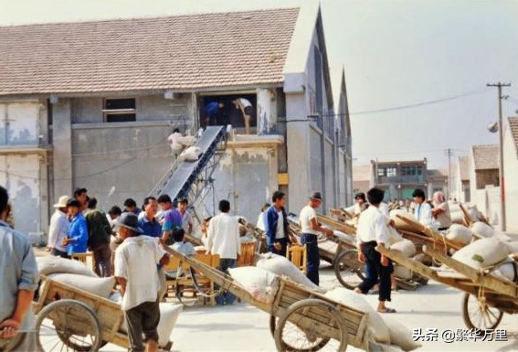 山東省的區劃調整,16個地級市之一,聊城市如何有11個區縣? 山東省的區劃調整,16個地級市之一,聊城市如何有11個區縣?