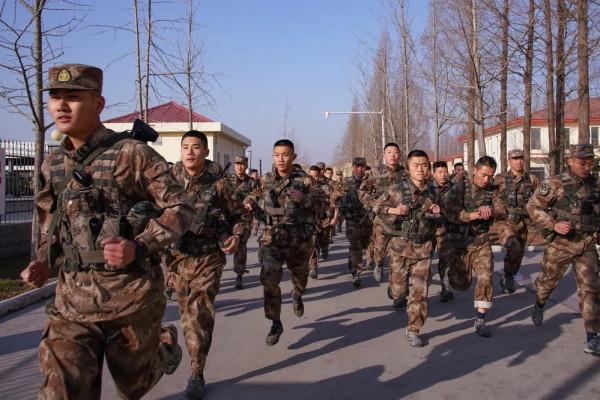 第71集團軍“中野虎師”:建制連拼戰,硬核實力! 第71集團軍“中野虎師”:建制連拼戰,硬核實力!