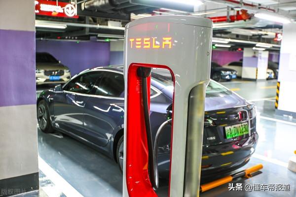 斬將2022|“瘋狂”的特斯拉、“變天”的蔚小理，今年誰主沉浮？