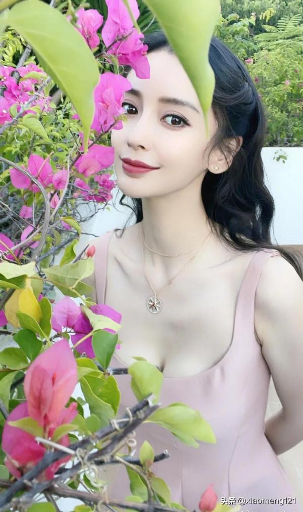 黃曉明楊穎終究是離了，所謂的世紀婚禮也是雲煙