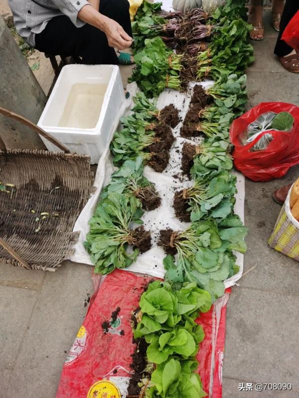 一個人的旅程(下) 一個人的旅程(下)