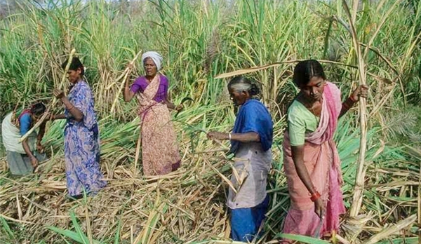 印度女人有多慘?為了每天17塊錢,就放棄做女人的權利 印度女人有多慘?為了每天17塊錢,就放棄做女人的權利