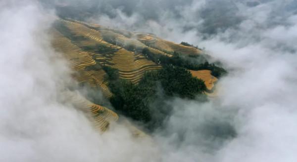 廣西龍脊梯田:雨後雲霧如畫 廣西龍脊梯田:雨後雲霧如畫